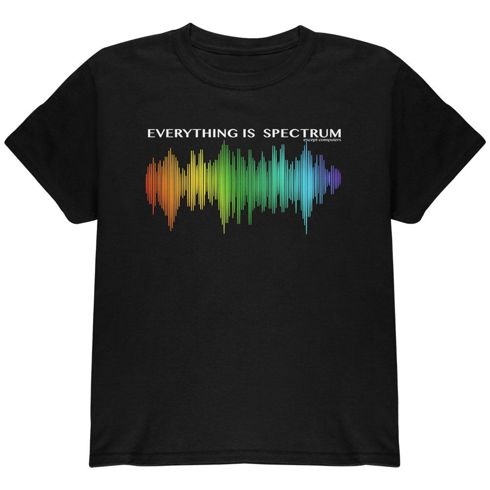 LGBTQ Everything Is A Spectrum Youth T Shirt Youth T-Shirts Old Glory LG Black 