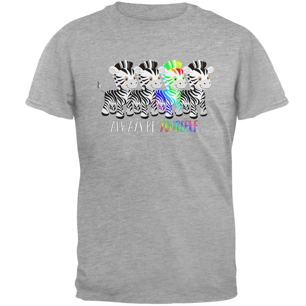 LGBTQ Always Be Yourself Cute Rainbow Zebra Mens Soft T Shirt Men's T-Shirts LGBT 2XL Heather 