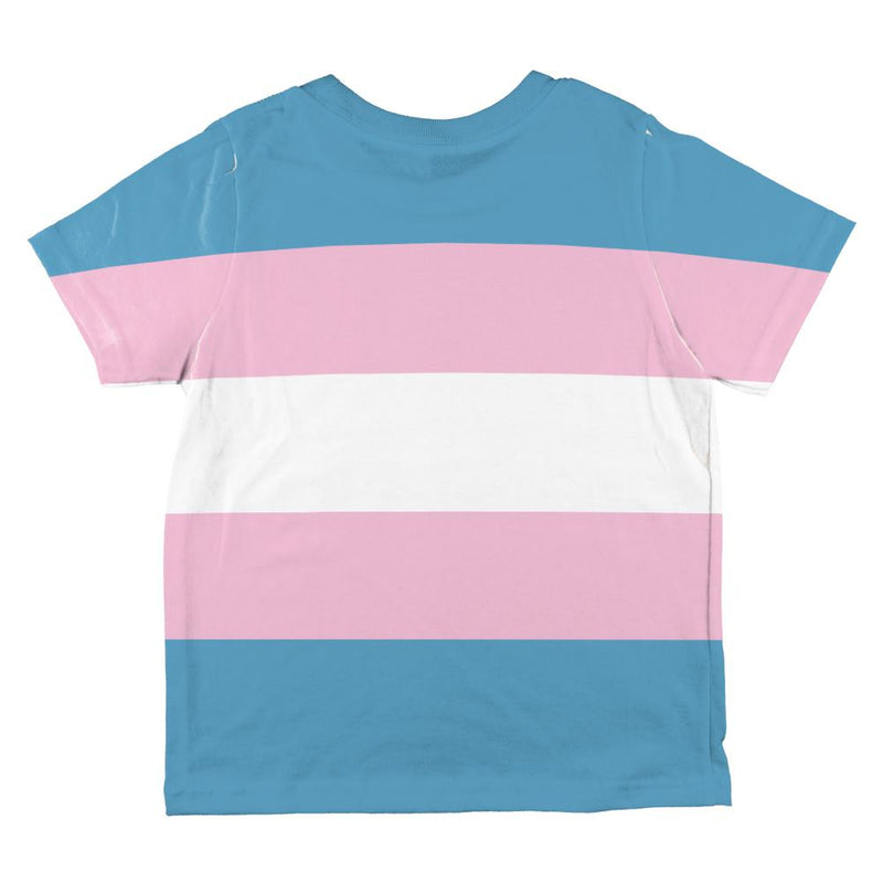 LGBT Transgender Pride Flag All Over Toddler T Shirt Toddler T-Shirts Old Glory   