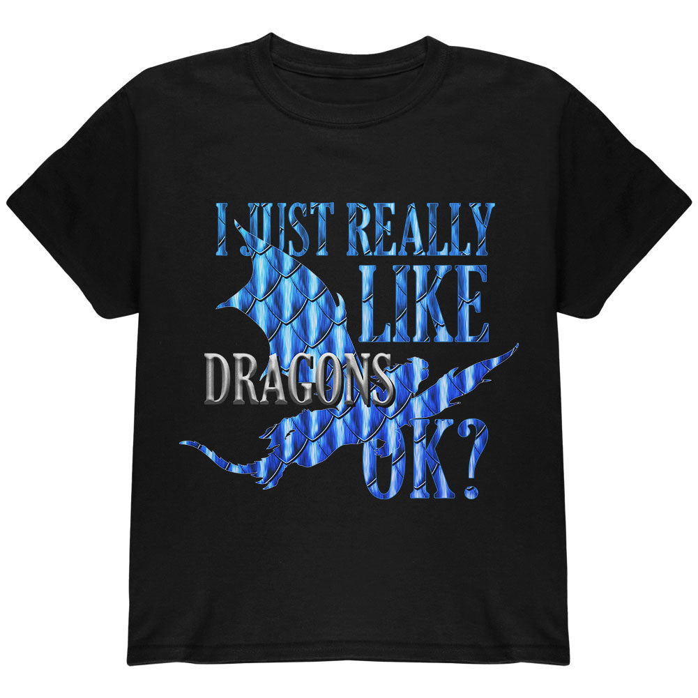 I Just Really Like Dragons Ok Scales Youth T Shirt Youth T-Shirts Old Glory YLG Black 