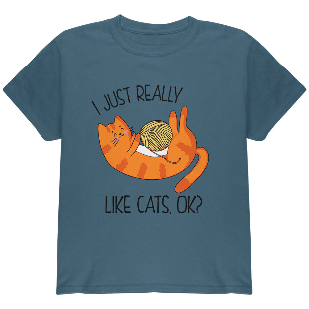 I Just Really Like Cats Ok Cute Youth T Shirt Youth T-Shirts Old Glory YLG Blue 