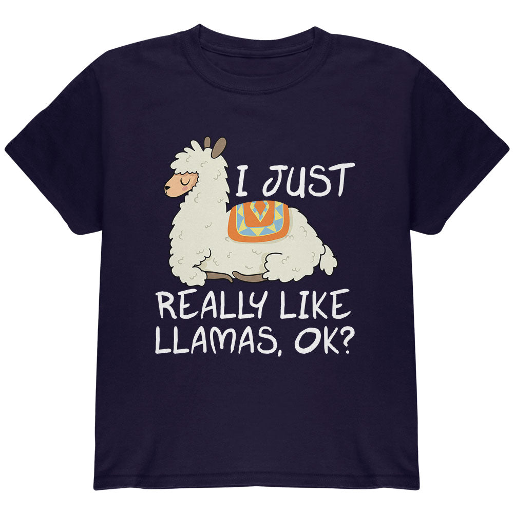 I Just Really Like Llamas Ok Cute Youth T Shirt Youth T-Shirts Old Glory YLG Navy 