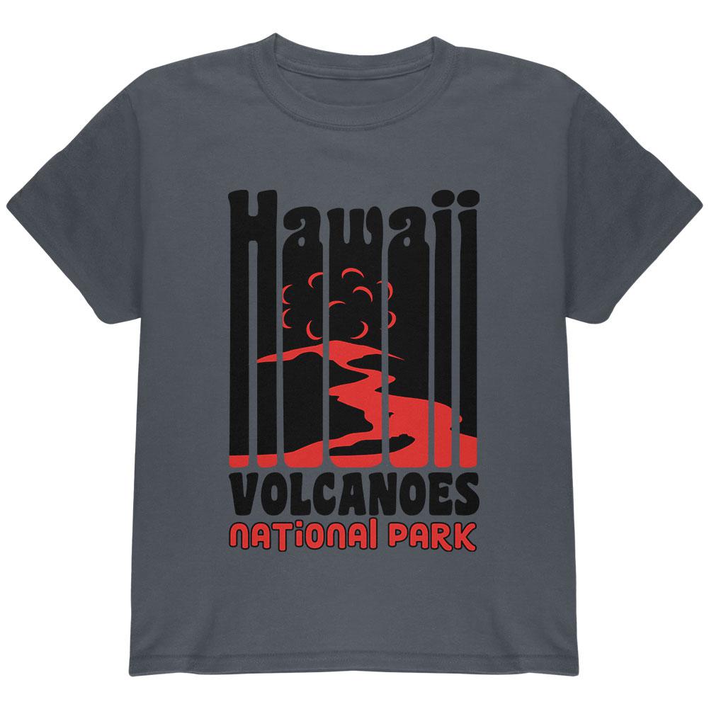 National Park Retro 70s Color Bars Hawaii Volcanoes Youth T Shirt Youth T-Shirts Old Glory LG Grey 