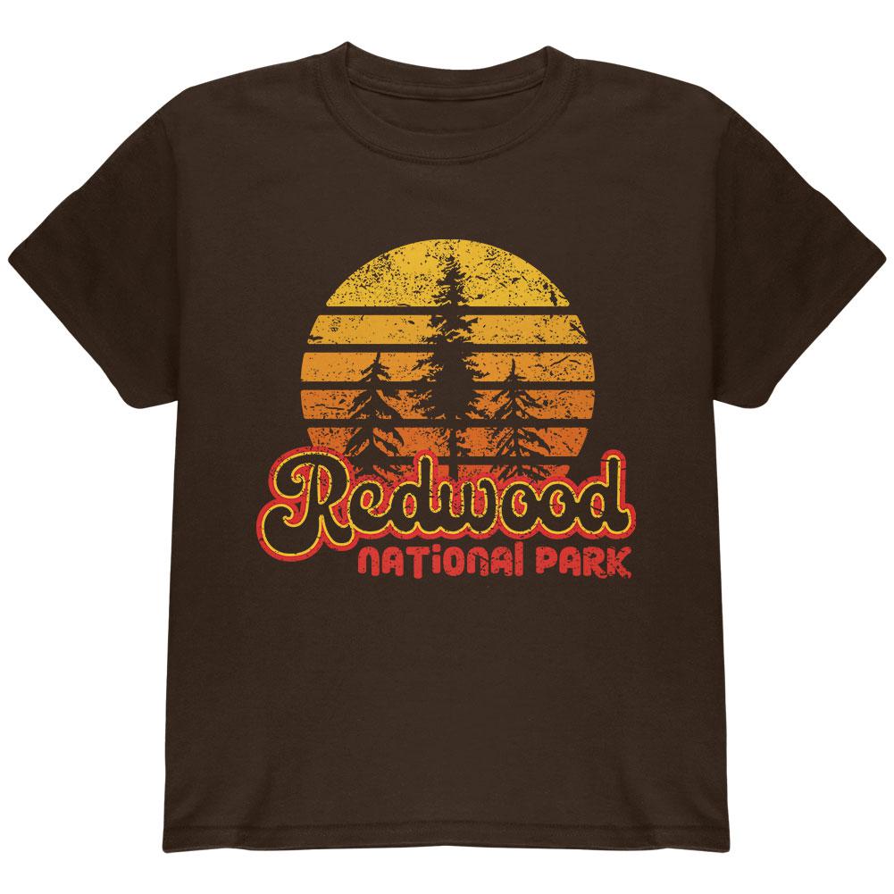 National Park Retro 70s Sunset Redwood Youth T Shirt Youth T-Shirts Old Glory LG Brown 