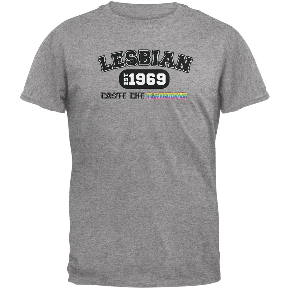 Lesbian Taste the Rainbow 1969 Heather Grey Adult T-Shirt Men's T-Shirts Old Glory 2XL Grey 