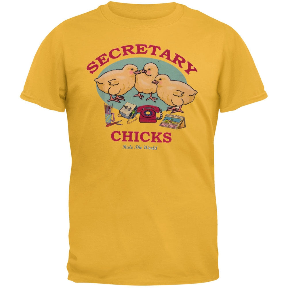 Secretary Chicks Rule The World Adult T-Shirt Men's T-Shirts Old Glory   