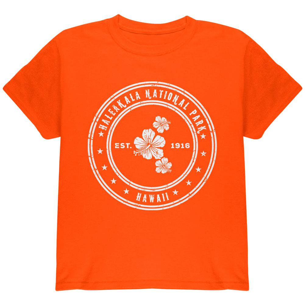 Haleakala National Park Orange Youth T-Shirt Youth T-Shirts Old Glory LG Orange 