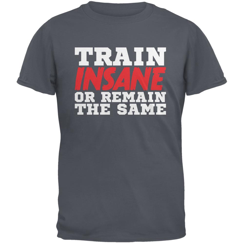 Train Insane Or Remain The Same Charcoal Grey Adult T-Shirt Men's T-Shirts Old Glory 2XL Grey 