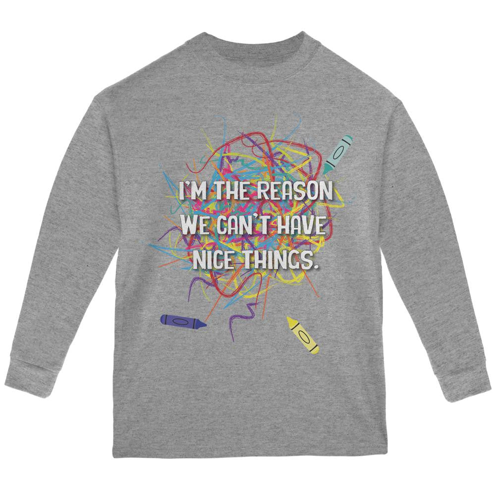 The Reason We Cant Have Nice Things Sport Grey Youth Long Sleeve T-Shirt Youth Long Sleeves Old Glory LG Grey 