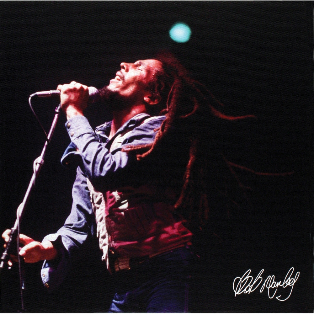 Bob Marley - Concert Small Canvas Print Canvas Art Old Glory OS Colorless 