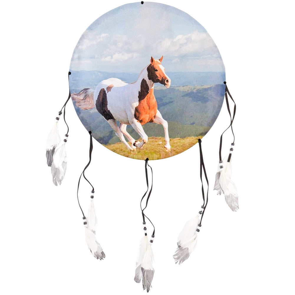 Paint Horse Galloping Dream Catcher Dream Catchers AnimalWorld   