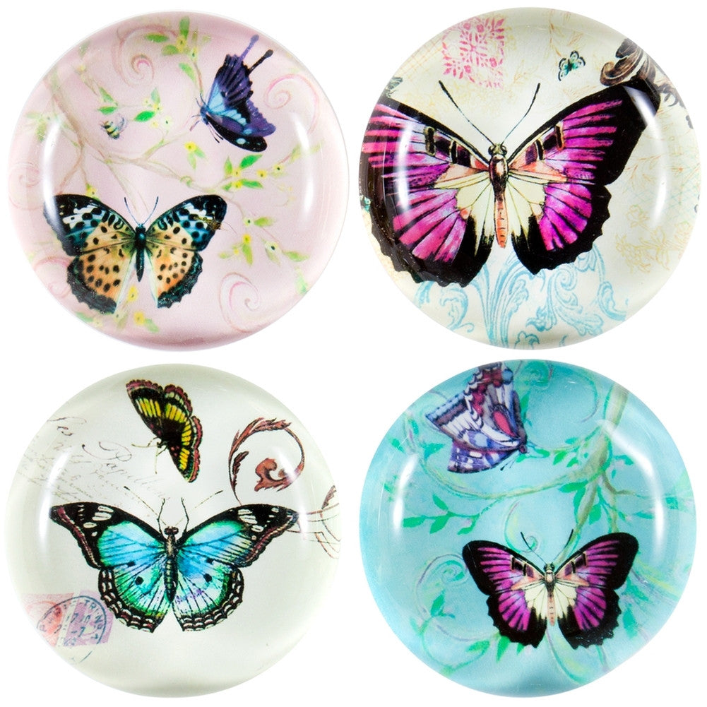 Butterflies In Action Set of Four Glass Magnets Refrigerator Magnets AnimalWorld   