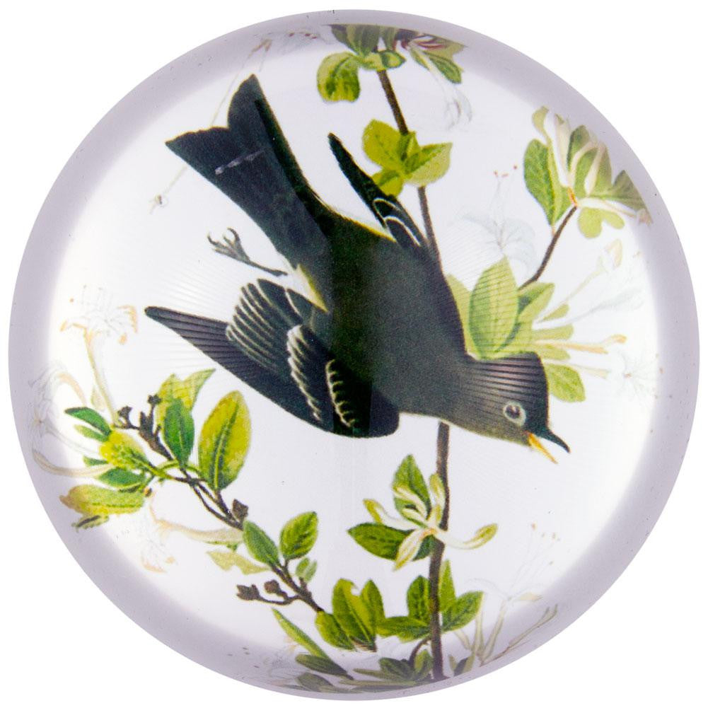 Western Wood Pewee Flying In Branches Glass Paperweight Paperweights AnimalWorld   