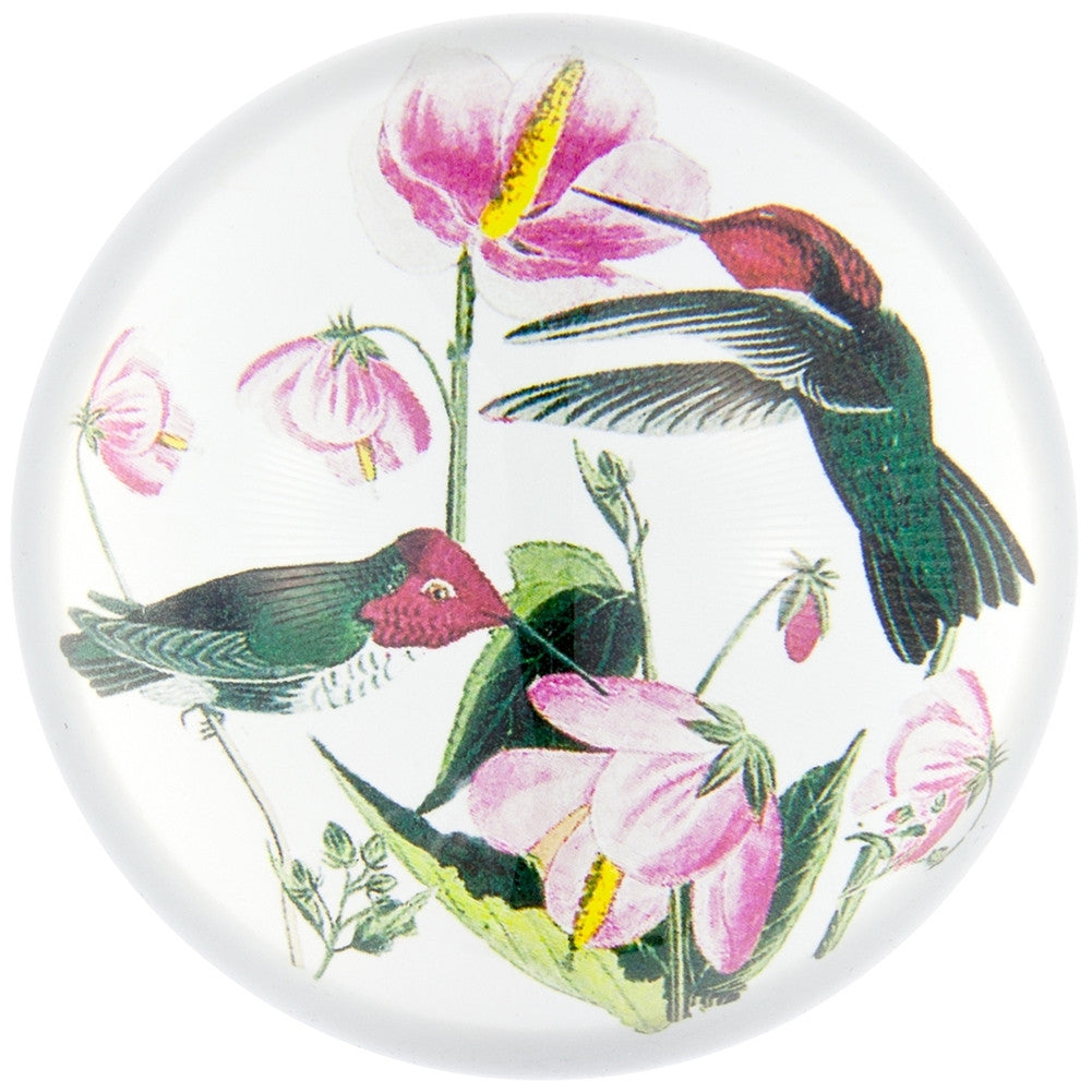 Anna's Hummingbirds In Flowers Glass Paperweight Paperweights AnimalWorld   