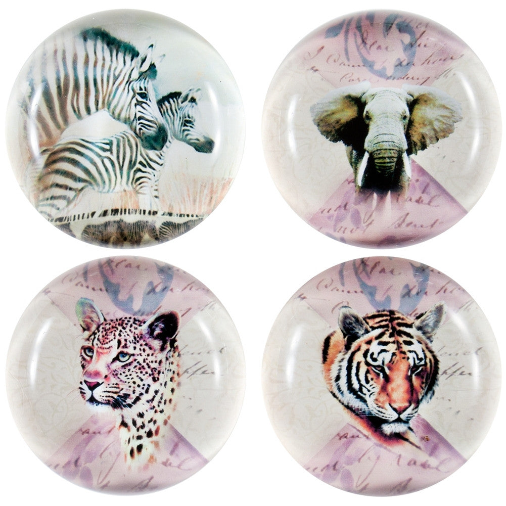 Variety Safari Animals Set Of Four Crystal Magnets Refrigerator Magnets AnimalWorld   