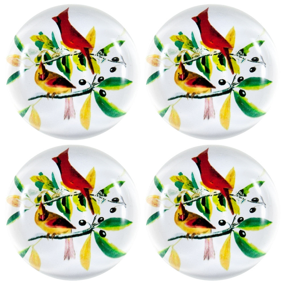 Cardinals In a Tree Set of Four Crystal Magnets Refrigerator Magnets AnimalWorld   