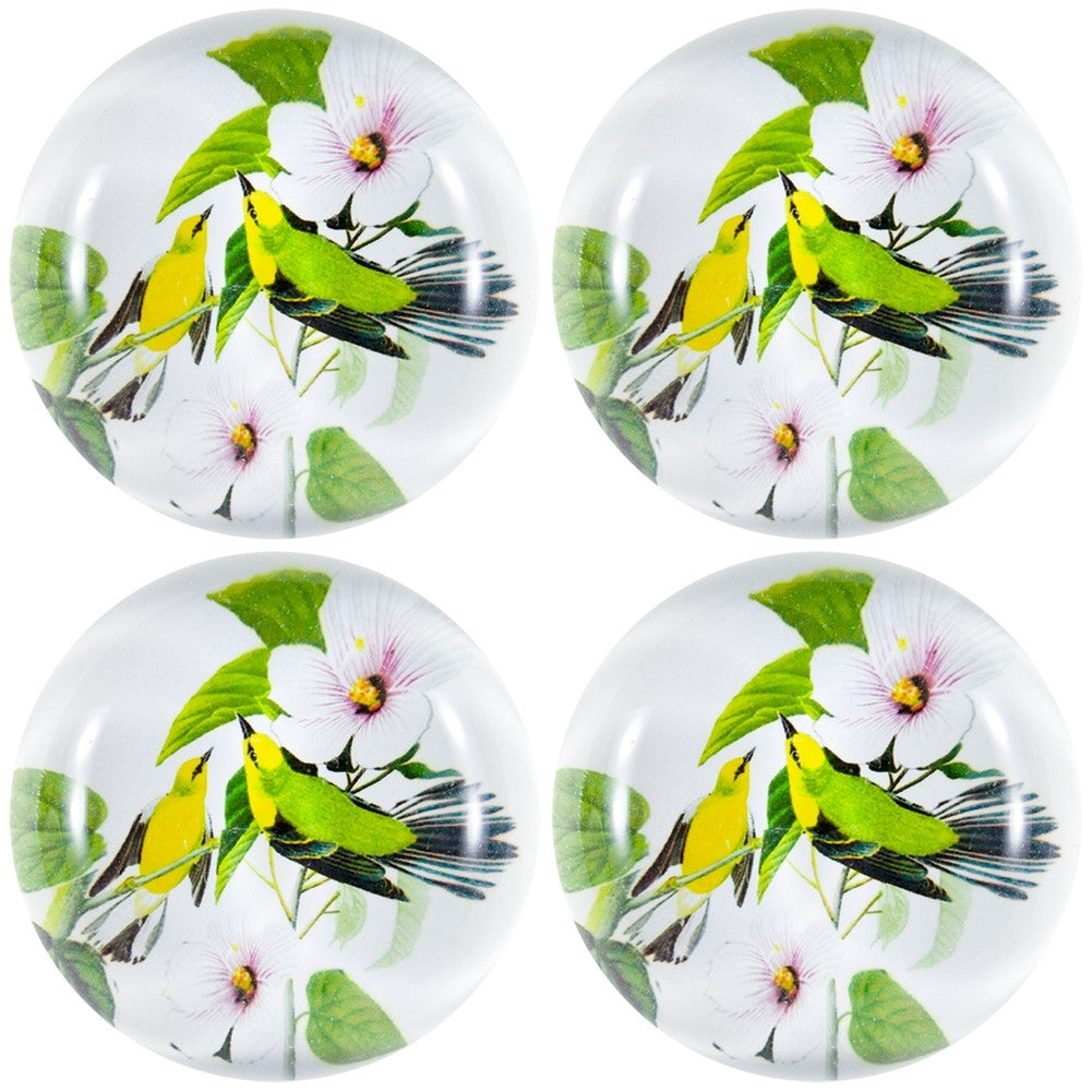 Blue-Winged Warblers In Branches Set Of Four Crystal Magnets Refrigerator Magnets AnimalWorld   