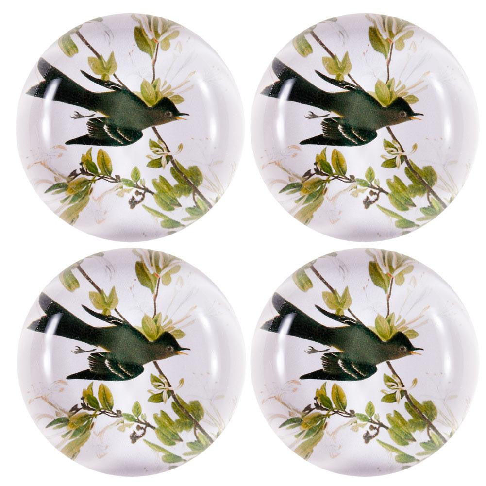 Western Wood Pewee Set Of Four Crystal Magnets Refrigerator Magnets AnimalWorld   