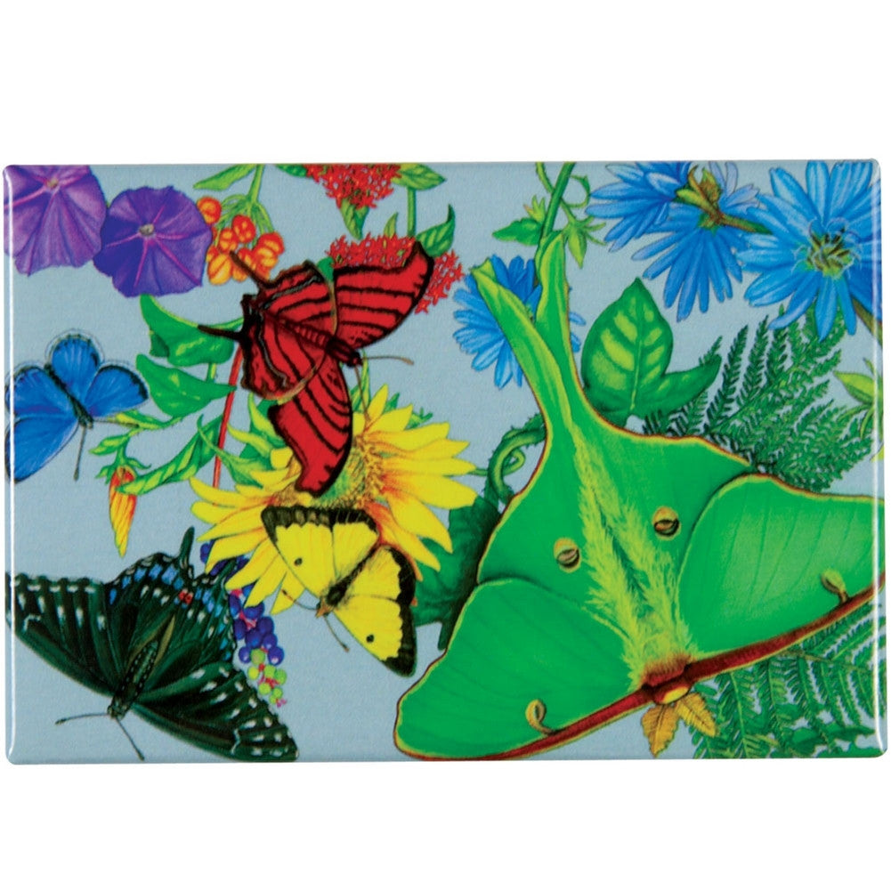 Butterfly Spectrum Refrigerator Magnet Refrigerator Magnets AnimalWorld   