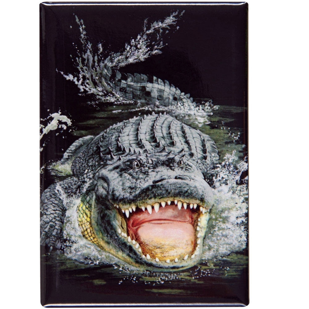 Gator Encounter Refrigerator Magnet Refrigerator Magnets AnimalWorld   