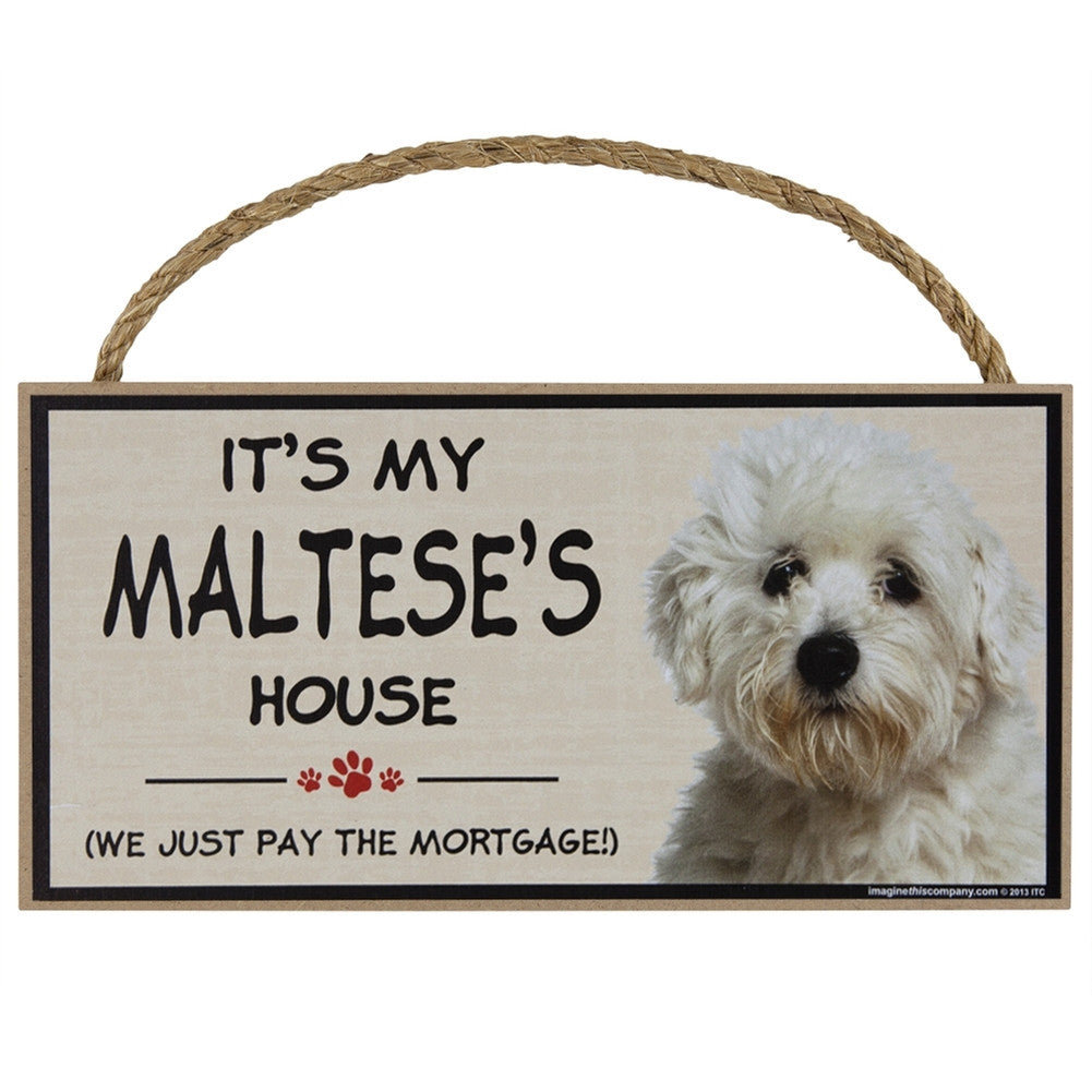 It's My Maltese's House Wood Sign Signs AnimalWorld   