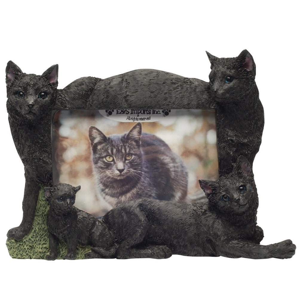 Black Cat Family Large Picture Frame Picture Frames AnimalWorld   