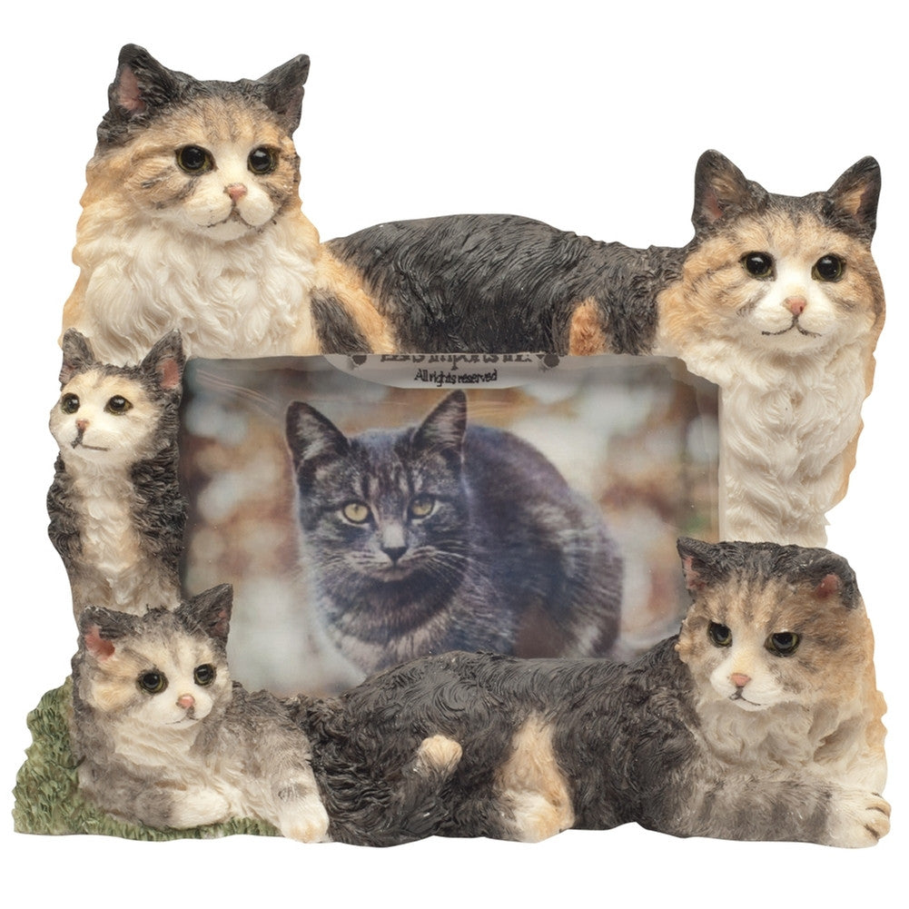 Maine Coon Cat Family Large Picture Frame Picture Frames AnimalWorld   