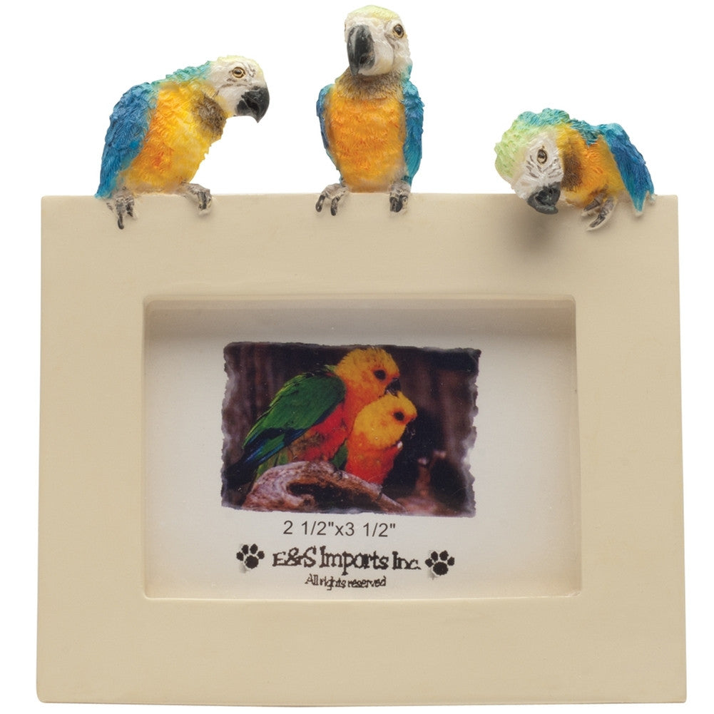 Macaw Trio Perched Small Picture Frame Picture Frames Animalworld   