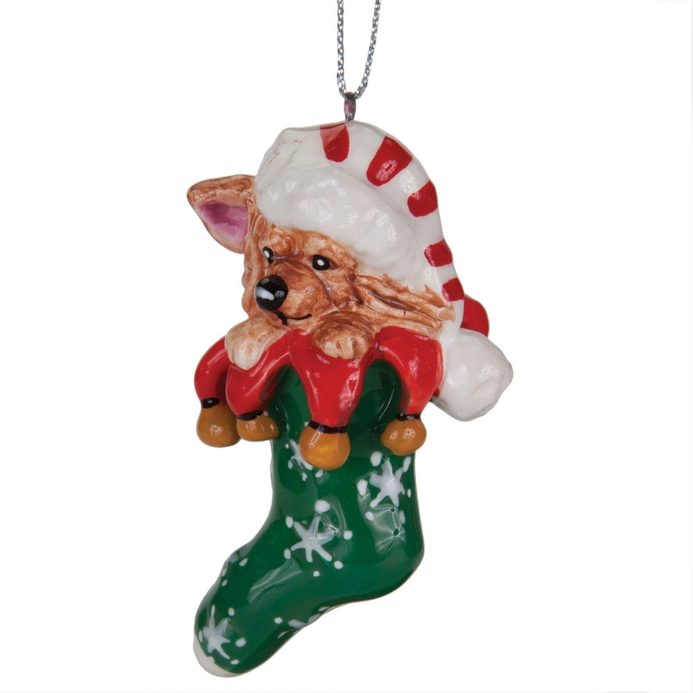 Calypso the Chihuahua Christmas Ornament Christmas Decorations Animalworld   