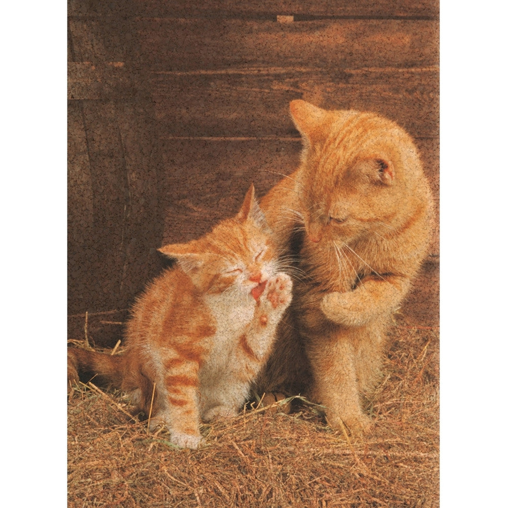 Ginger Cats Cork 500 Piece Jigsaw Puzzle Puzzles Animalworld   