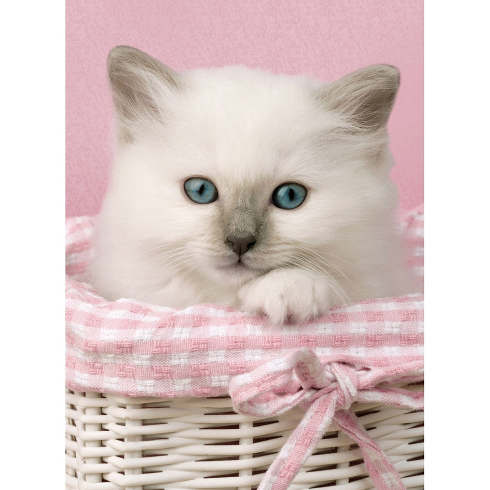 Sweet Kitten Eyes Mini Jigsaw Puzzle Puzzles AnimalWorld   