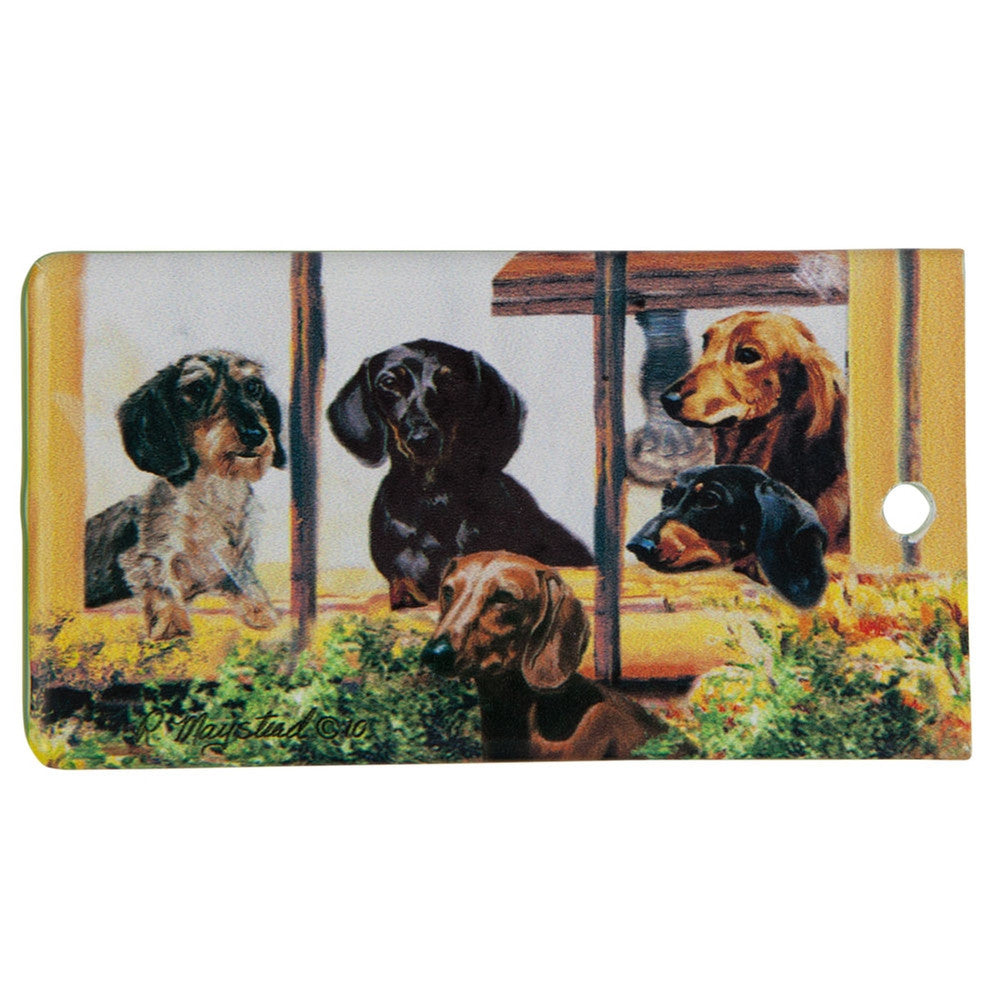 Dachshund Portrait Bag Tag Bag Tags Animalworld   