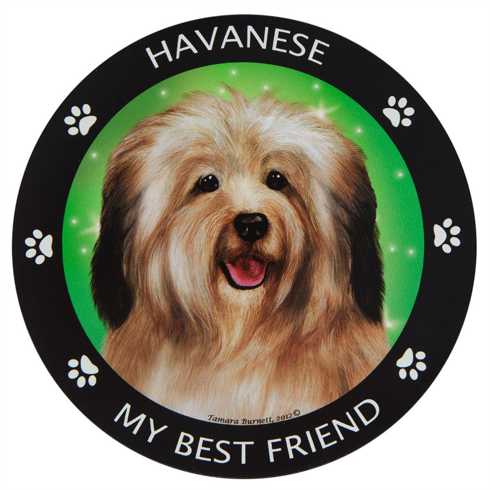 Havanese My Best Friend Magnet Auto Accessories Animalworld   