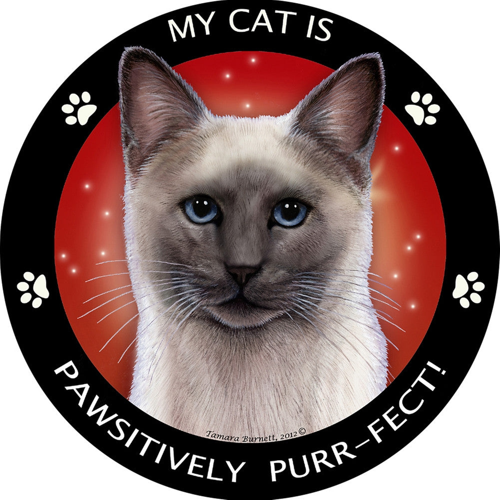 Blue Point Siamese Pawsitively Purr-Fect Magnet Auto Accessories Animalworld   