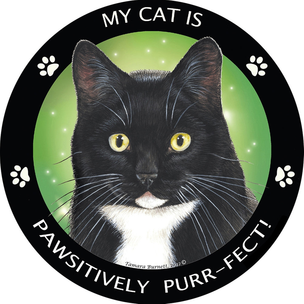 Black & White Tuxedo Pawsitively Purr-Fect Magnet Refrigerator Magnets Animalworld   