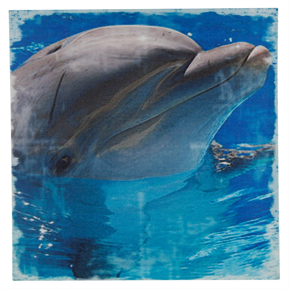 Grinning Dolphin Canvas Art Canvas Art Ohio Wholesale, Inc   