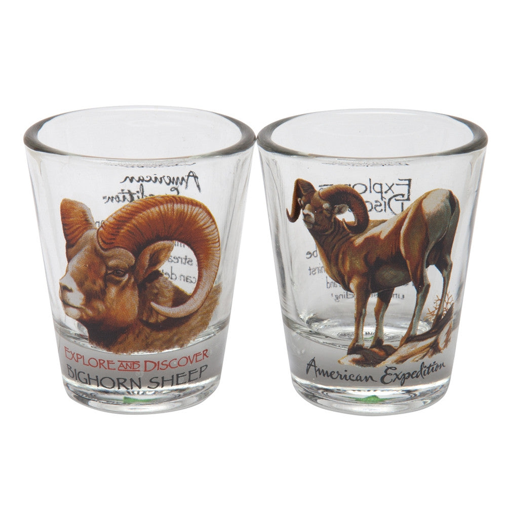 Bighorn Sheep Shot Glass Set Shot Glasses Animalworld   