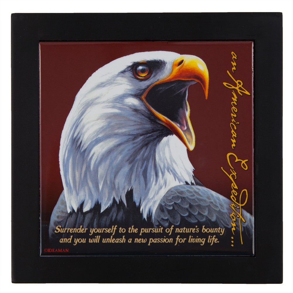 Bald Eagle Wood Framed Trivet Coasters Animalworld   