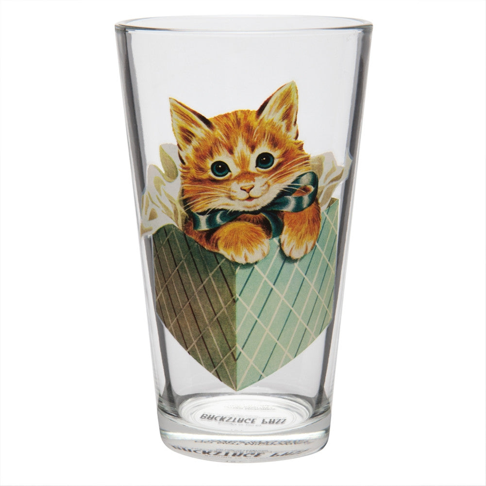 Kitten in a Box Pint Glass Pint Glasses Animalworld   