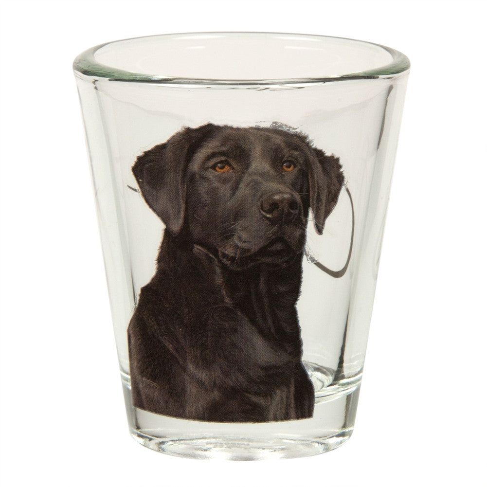 Black Labrador Portrait Shot Glass Shot Glasses Animalworld   