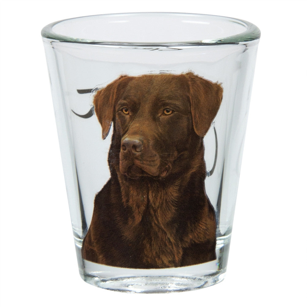 Labrador Retriever Portrait Shot Glass Shot Glasses Animalworld   