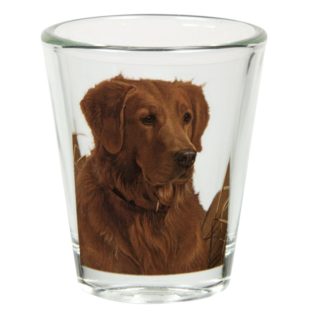 Golden Retriever Portrait Shot Glass Shot Glasses Animalworld   