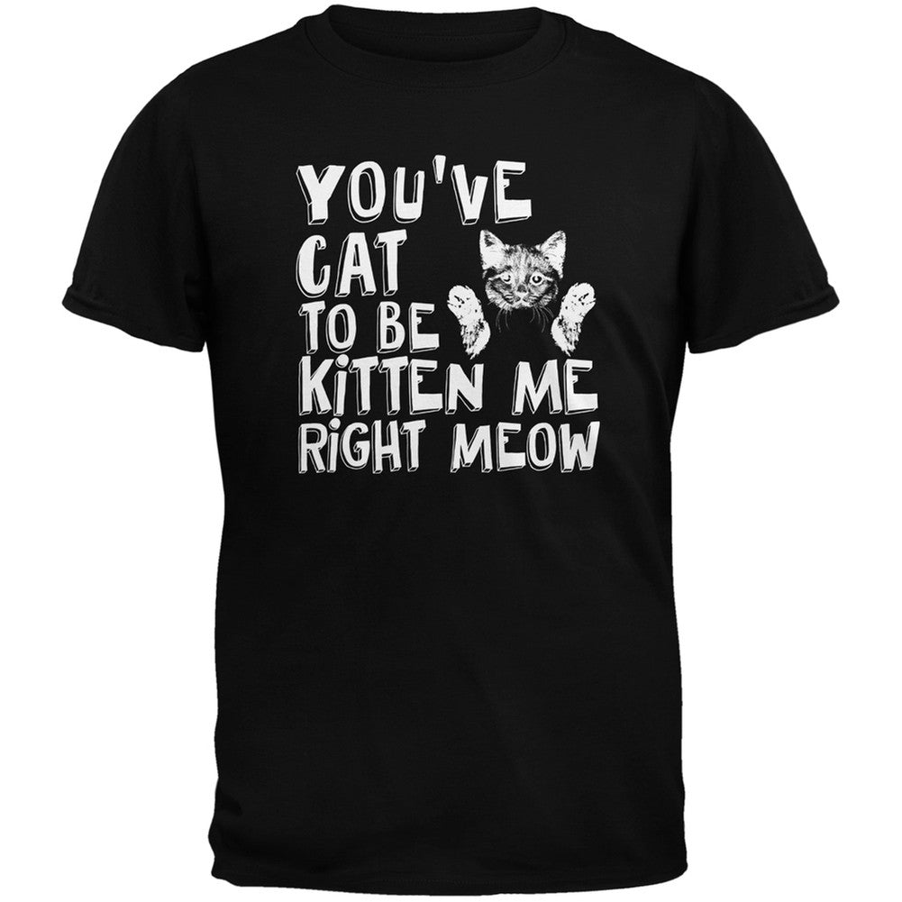 You've Cat To Be Kitten Me Right Meow Black Adult T-Shirt Men's T-Shirts Old Glory   