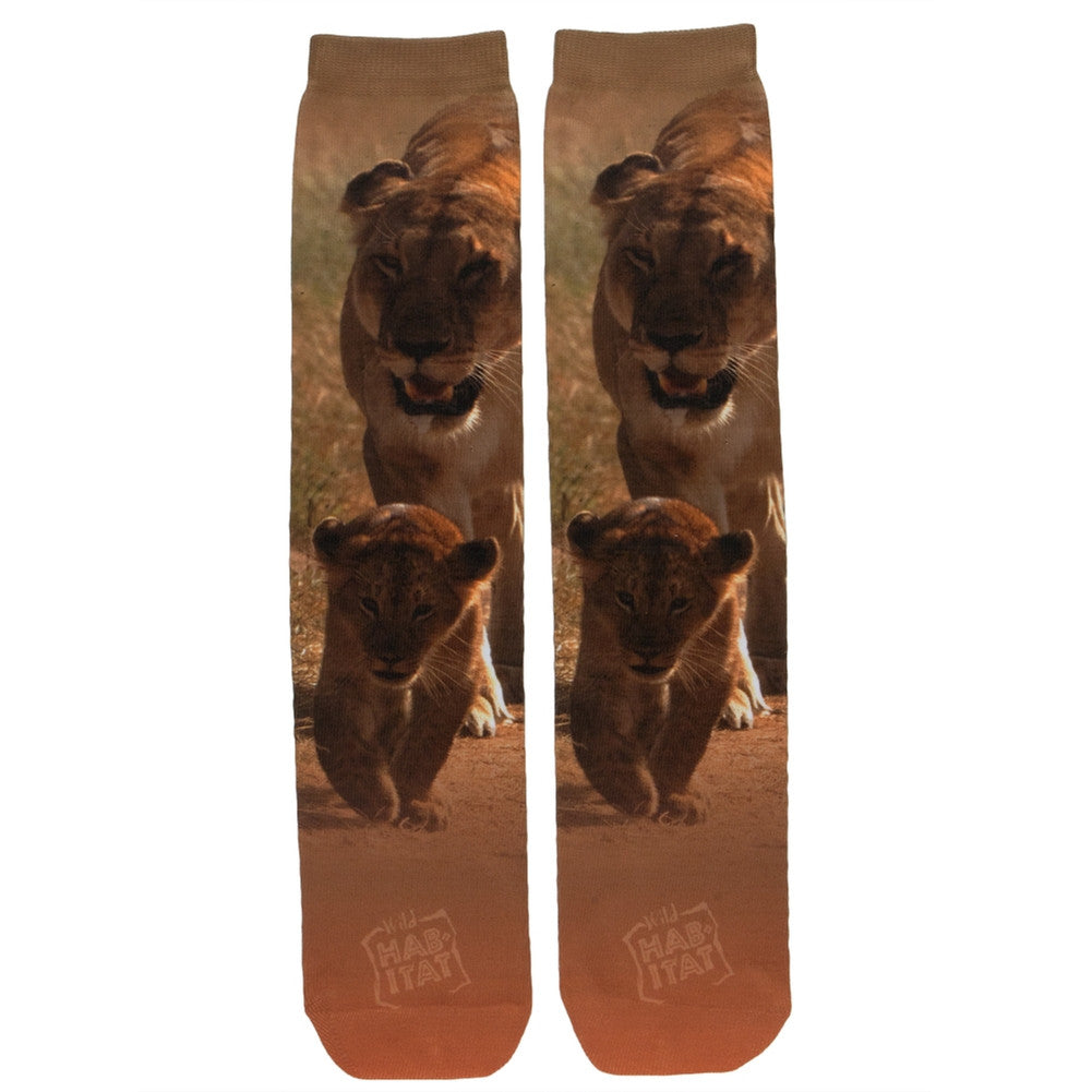 Lion And Cub Sublimated Socks Socks Lin Manufacturing   