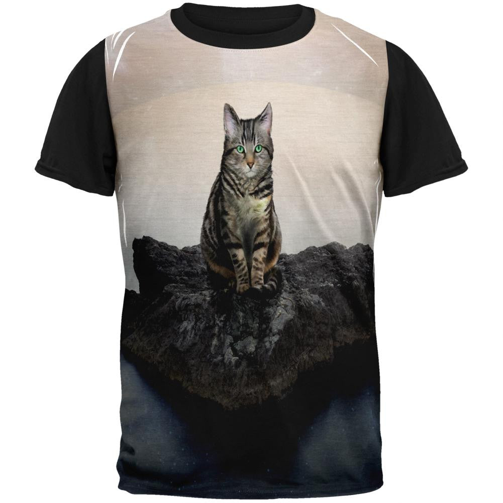 Zen Cat on a Rock Adult Black Back T-Shirt Men's T-Shirts Old Glory   