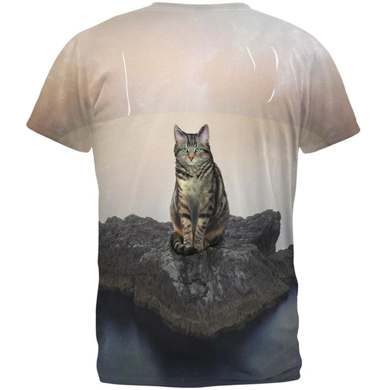 Zen Cat on a Rock All Over Adult T-Shirt Men's T-Shirts Old Glory   